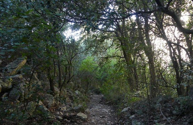 Le chemin des Cabrelles