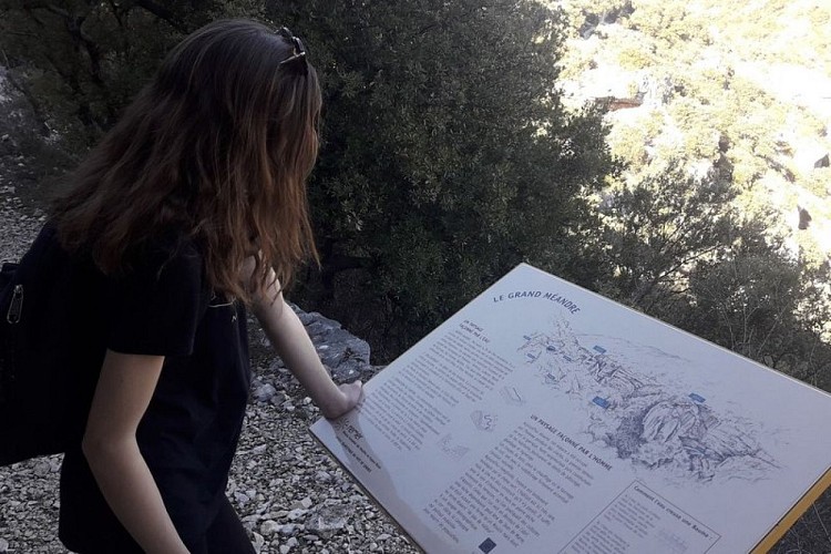 Véroncle, pupitre d'interprétation