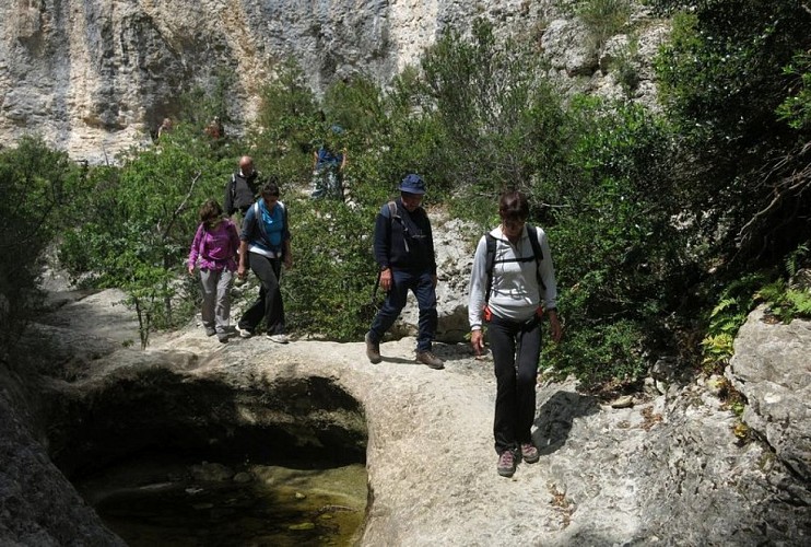 Fond des gorges de Véroncle