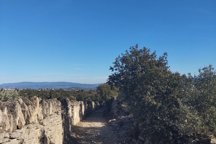 Sur le sentier de la Sénancole