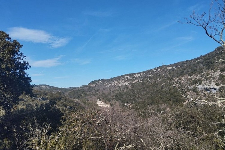 Notre Dame de Sénanque