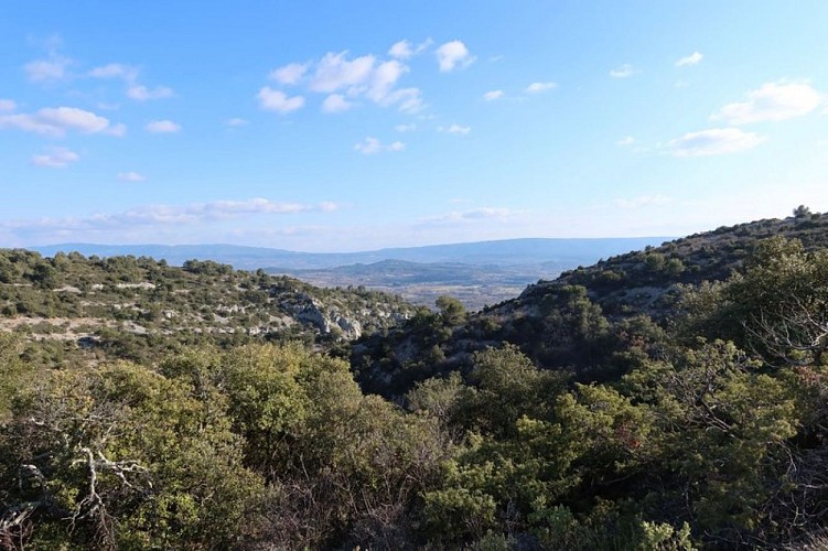 Vue sur les gorges de Véroncle depuis l'épaule de Vézaule
