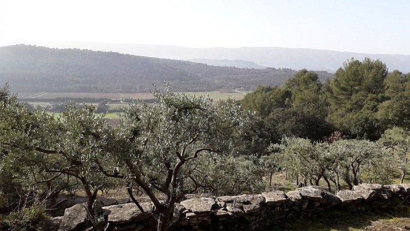 Vue sur le Luberon et la vallée du Calavon