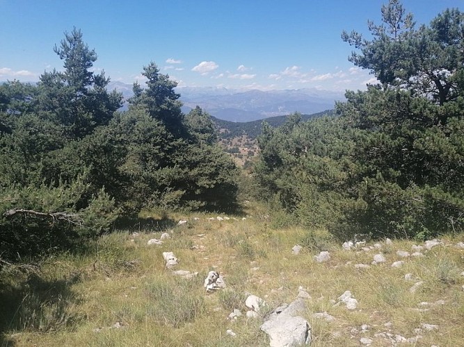 GRÉOLIÈRES-LES-NEIGES - Cime du Cheiron