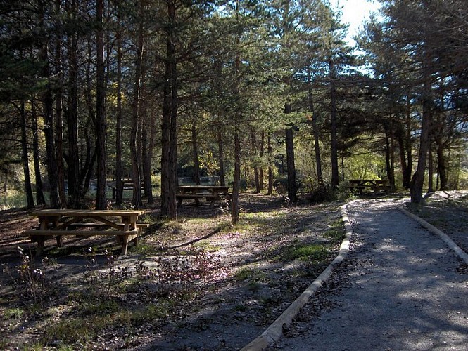 Passage arboré vers le plan d'eau de Saint-Crépin