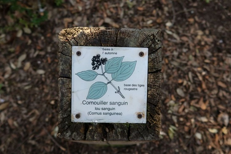 Borne d'identification sur les plantes