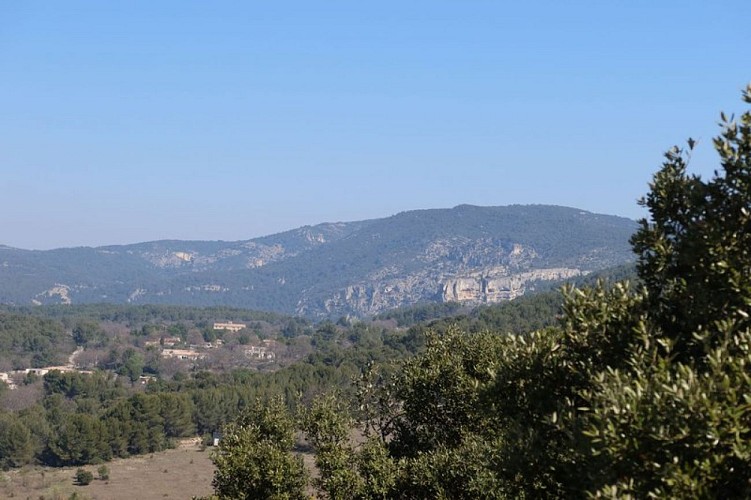 Vue sur les collines depuis le sentier