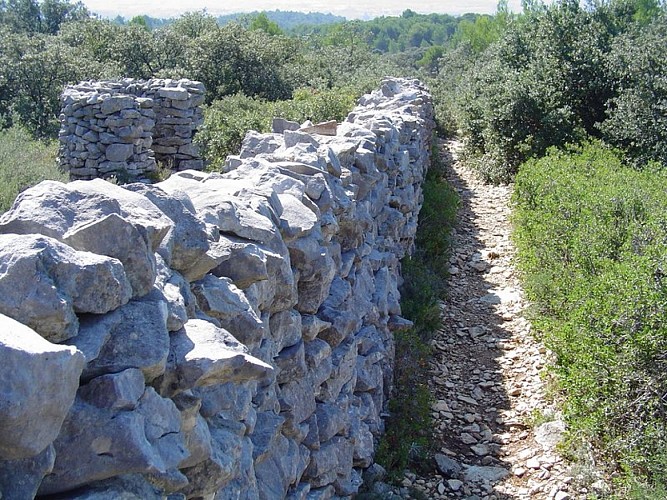 Mur de la peste