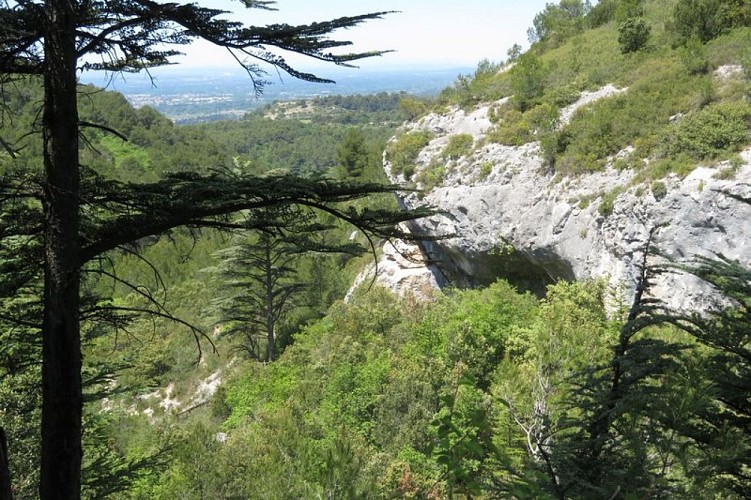 Vallon des Esperacons