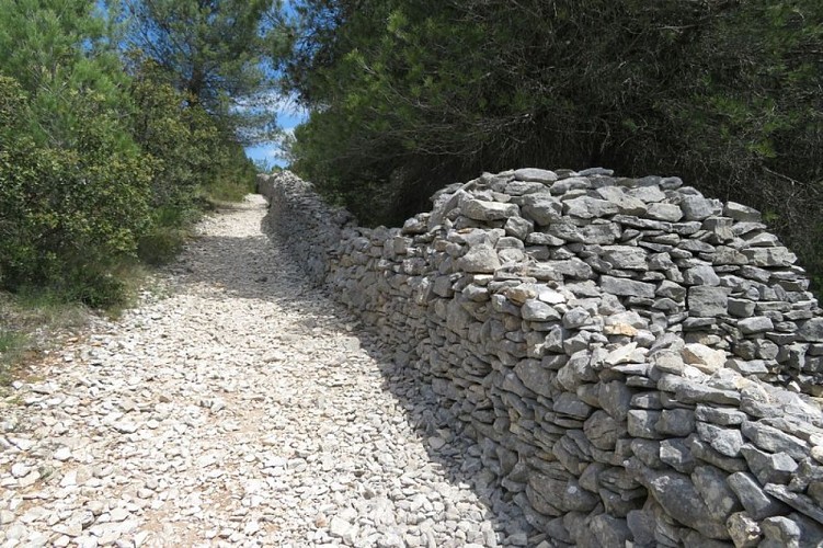 Mur de la peste