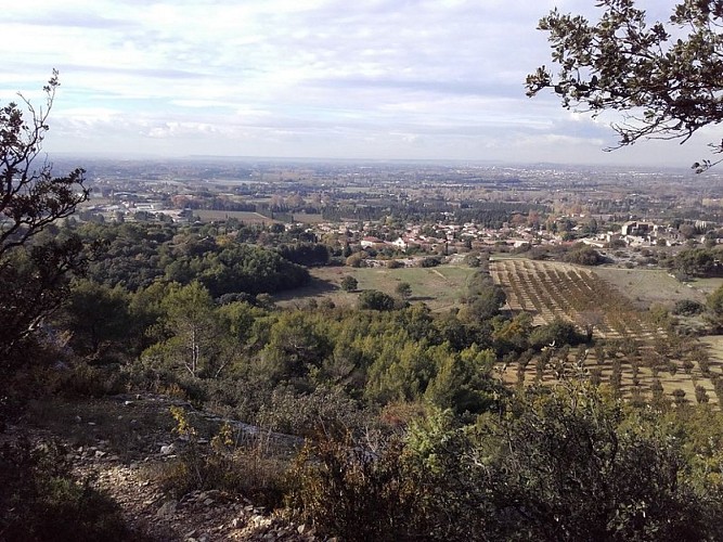 Vue sur Lagnes et la plaine de la Sorgue