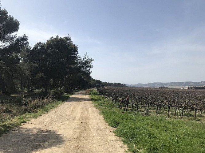 LAMANON - La plaine paysanne de la Durance en gravel