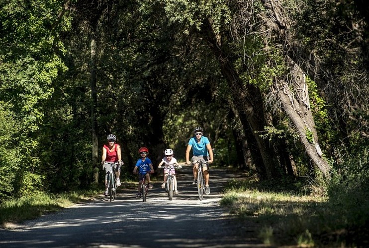 Sur les routes ombragées du Pays d'Aigues