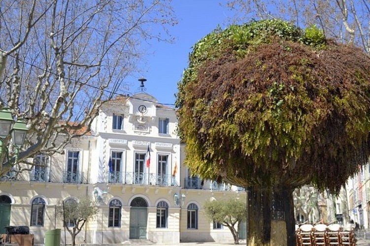 La place Jean Jaurès et sa fontaine