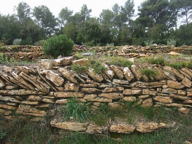 Restanques et murets autour de la maison des Quatre Frères