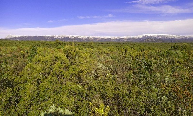 La Sainte-Baume enneigée comme toile de fond