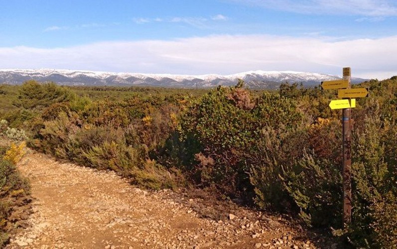 Carrefour de sentiers, avec la Sainte-Baume au fond