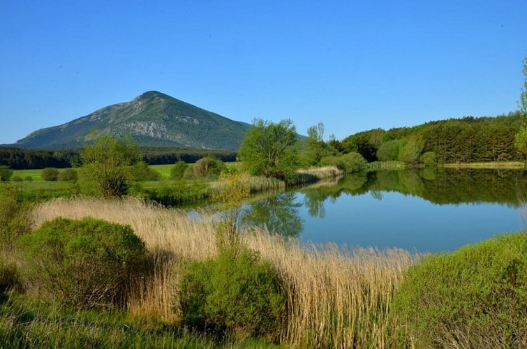 L'etang de Taulane