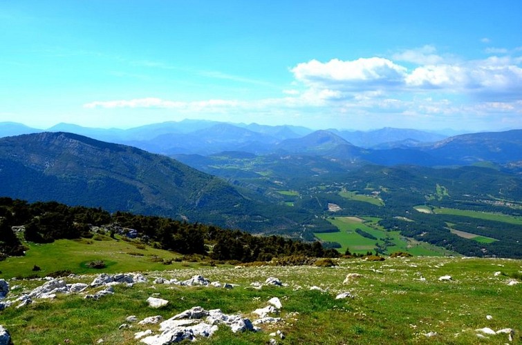 L'Artuby depuis le Lachens