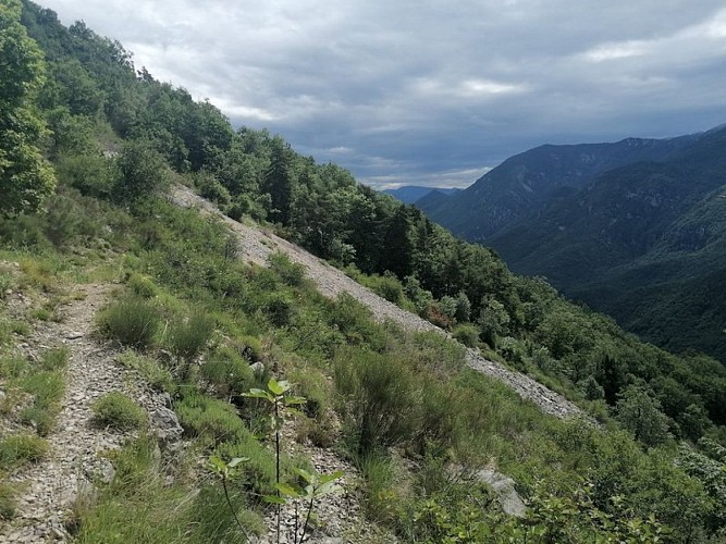 LE MAS - Montagne de Charamel