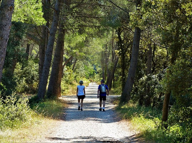 Ancienne ligne ferroviaire Salon-Arles