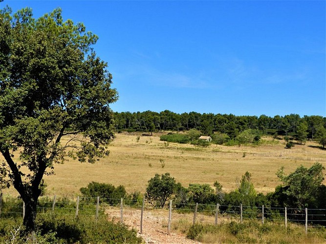 Paysage provençal aux abords du Sousteyran