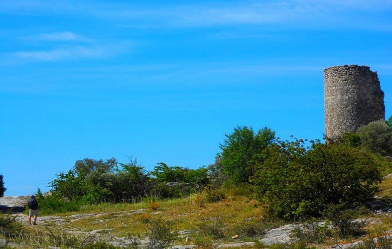 Balade au pied des tours