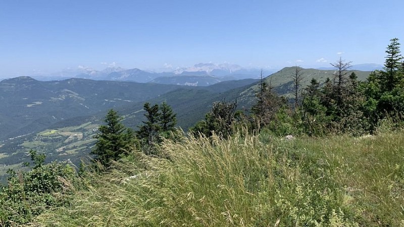 Vue sur la Barre des Écrins et la crête de l'Aup à l'est