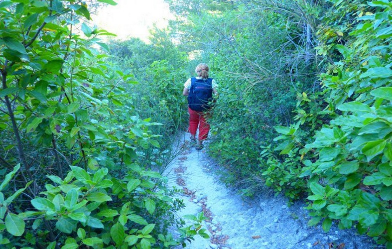 Balade au pied des Baux-de-Provence
