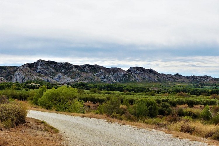 Vue sur la crête des Grands Calans