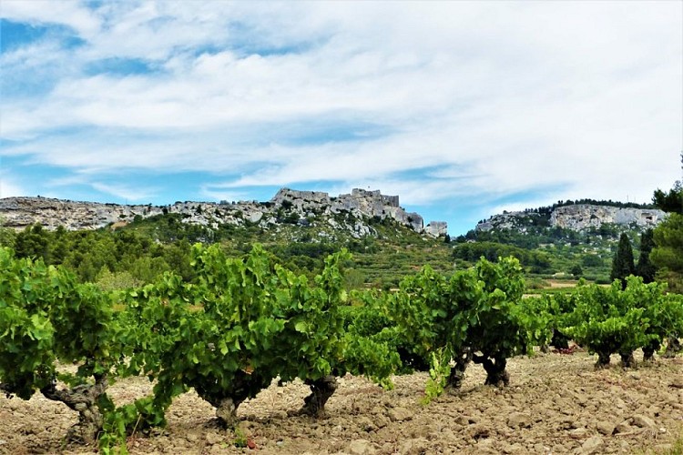 Vignobles AOP "Les Baux-de-Provence"
