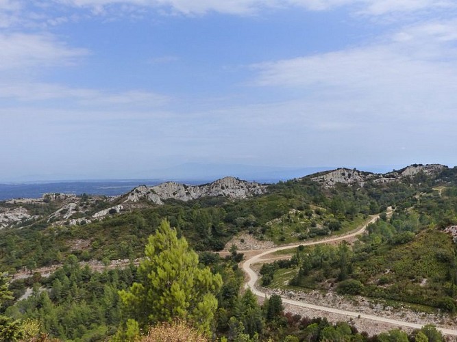 Sur les hauteurs de Baumayrane