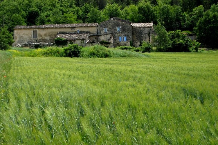 Mas de Marican (privé - ne se visite pas)