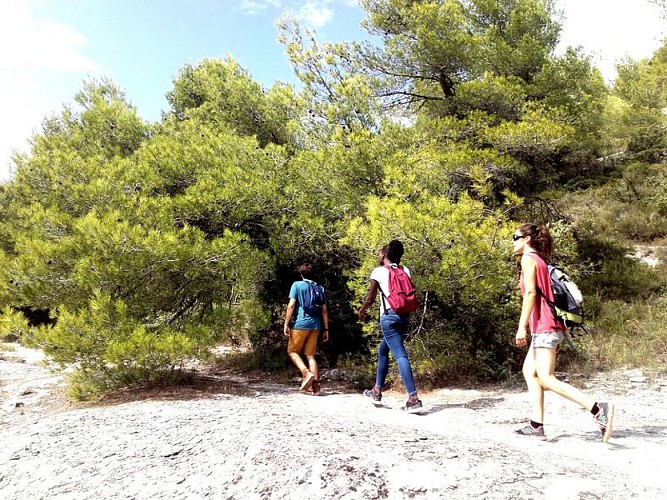 Sentier à l'arrivée des Beaumettes