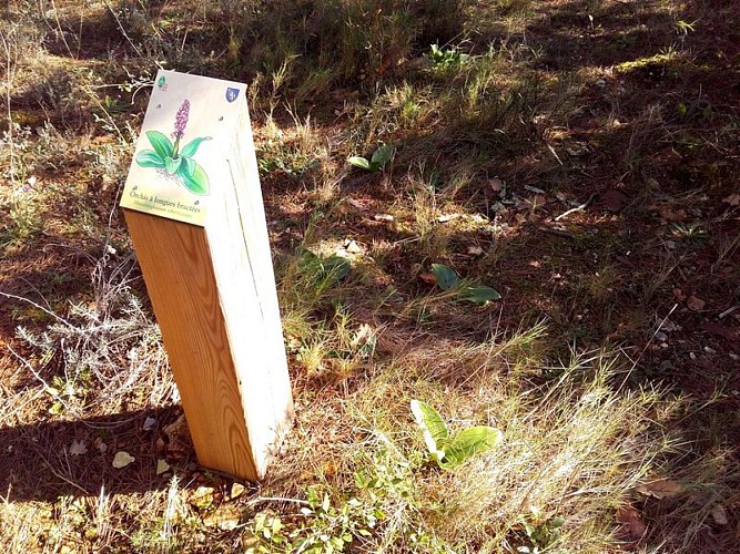 Borne du sentier botanique des Beaumettes