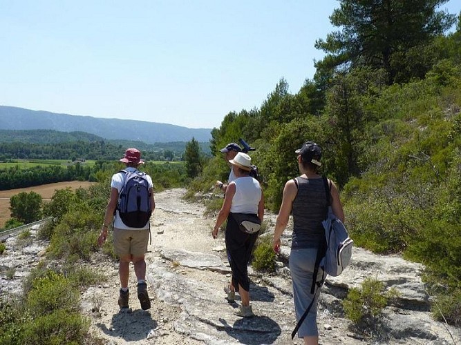 Sentier botanique des Beaumettes