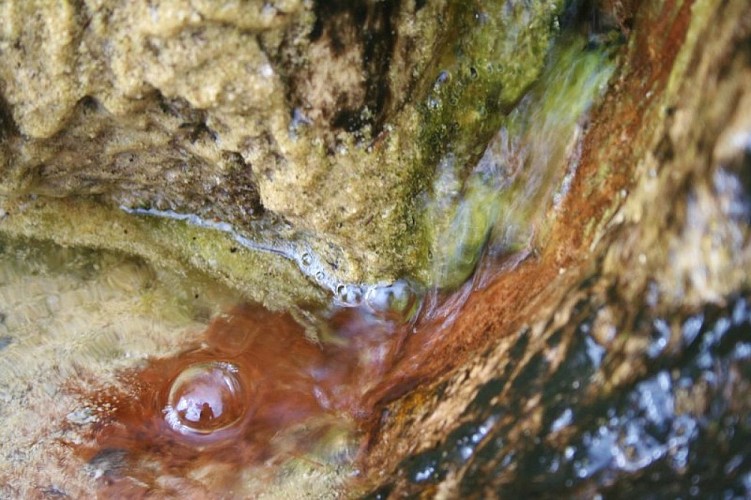 The Bertins on mountain bike