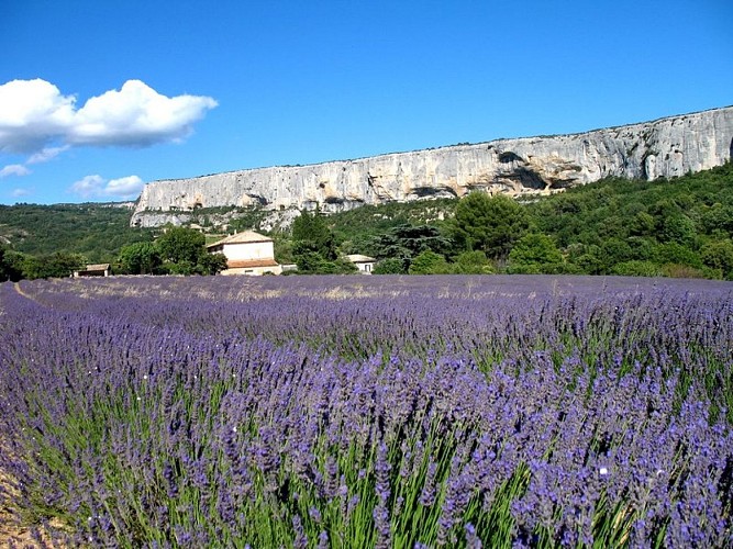 Falaise de la Madeleine