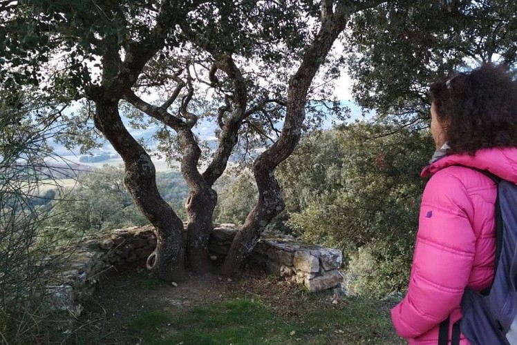 Lurs, chemin de Saint-Jacques de Compostelle