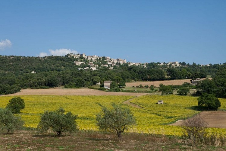 Le village de Lurs et les champs de Tournesols