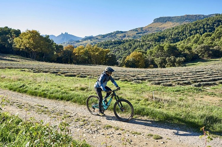MALAUCENE - Le tour des Abbayes en VTT