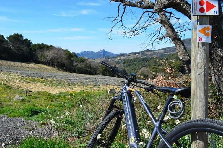 Vue sur les Dentelles de Montmirail