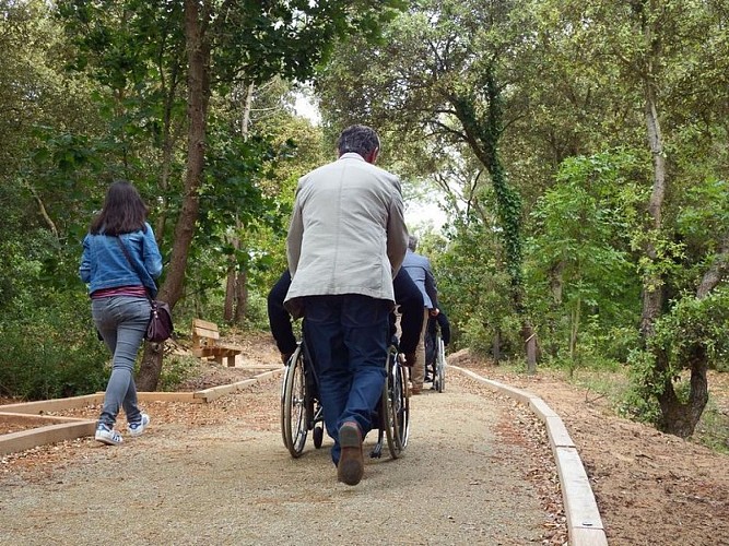 En fauteuil, sur les Chemins de Bellevue