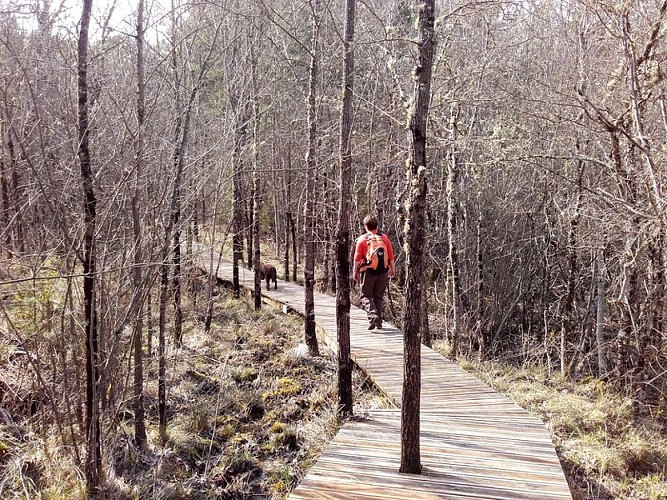 Sur les chemins de Pélicier