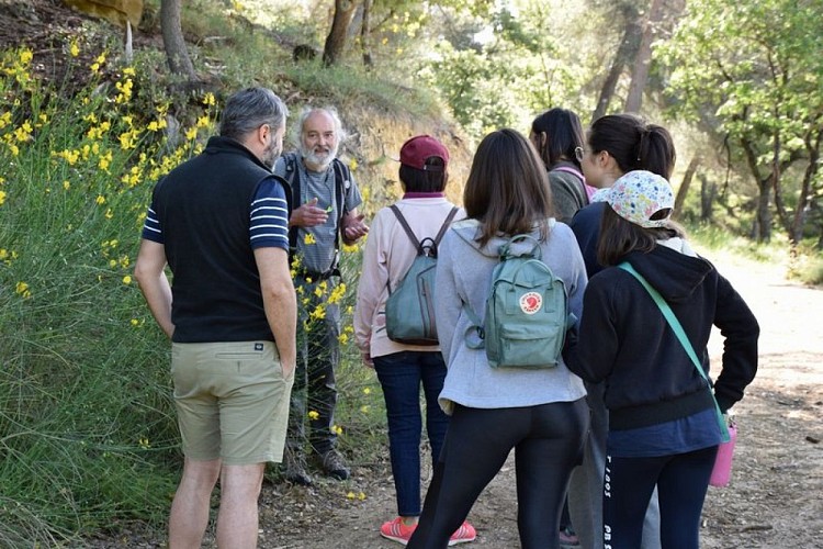 Visite guidée en forêt de Pélicier