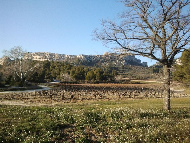 Château des Baux-de-Provence