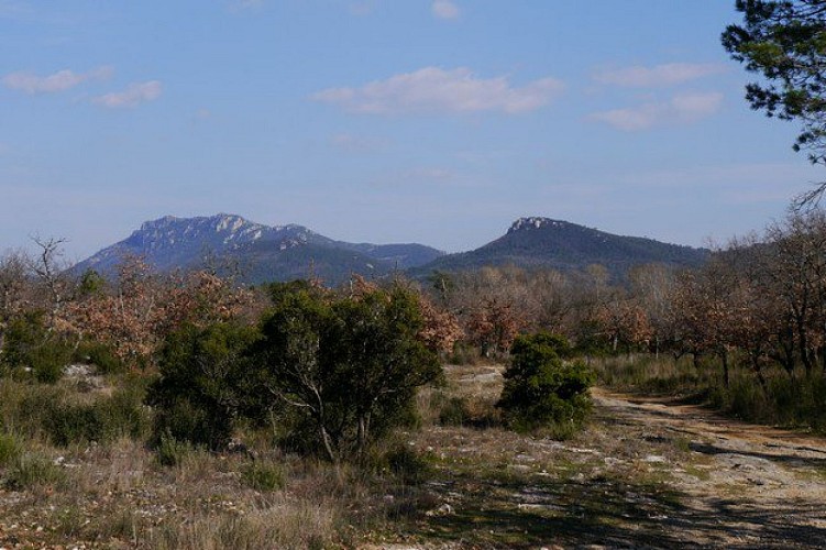 La vue sur le massif de la Loube