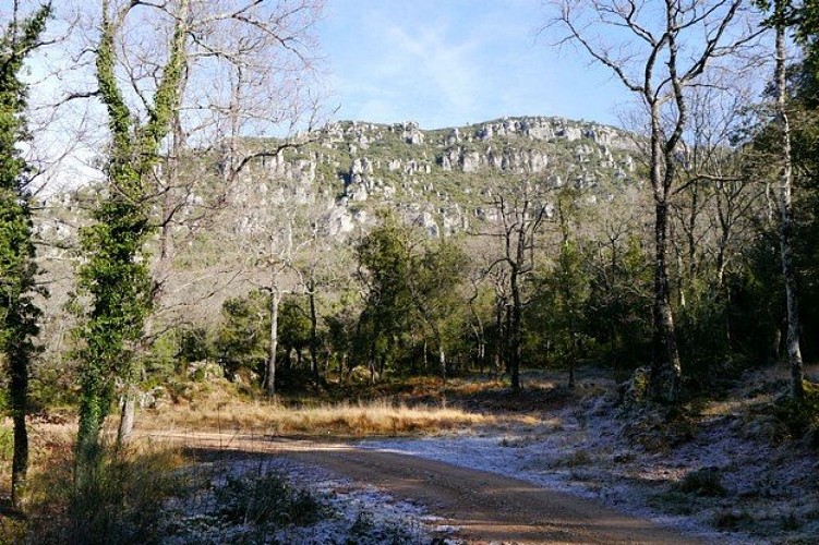 Rochers des Friginiaires