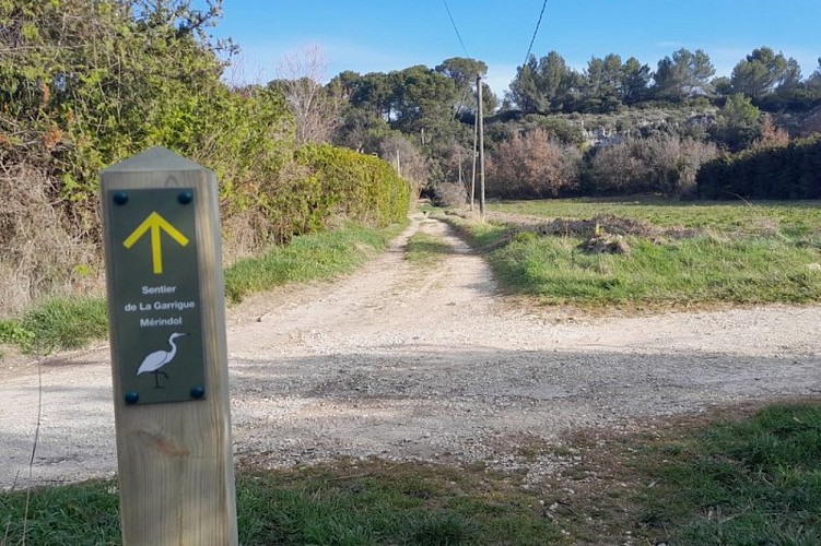 Borne directionnelle