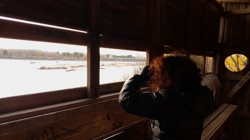 Observation ornithologique